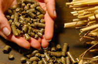 free Percuil biomass boiler quotes